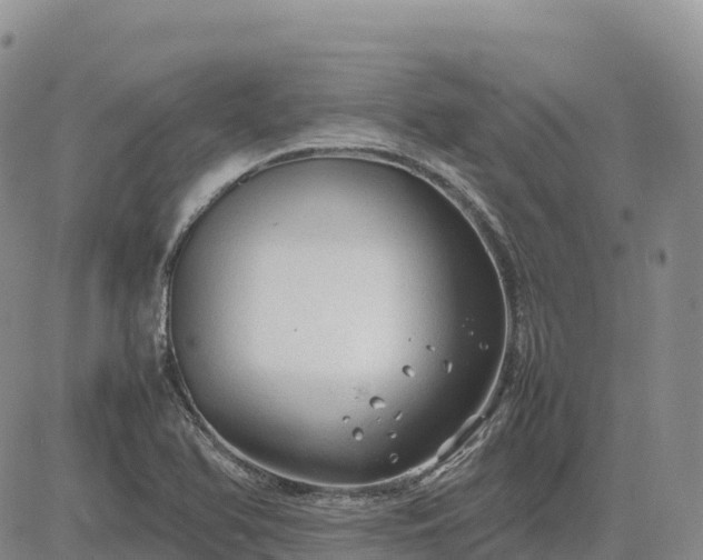 X0000085231366200703161259