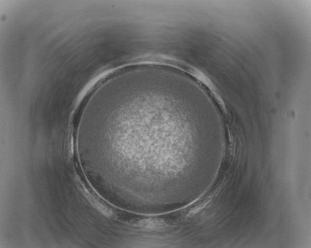 X0000085231368200703161259