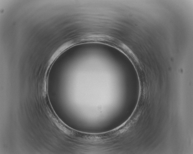 X0000085231370200703161259