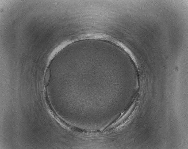 X0000085231373200703161259