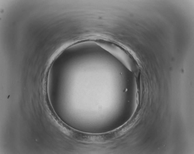 X0000085231375200703161259