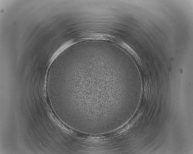 X0000085231378200703161259