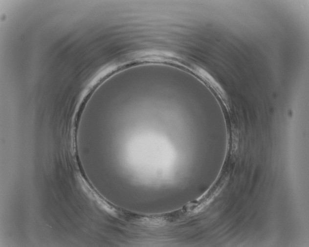 X0000085231384200703161259