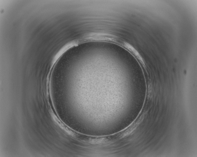 X0000085231386200703161259