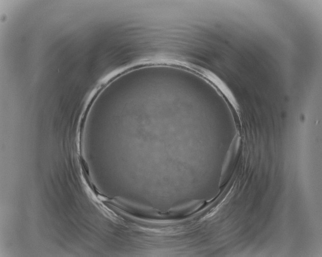 X0000085231388200703161259