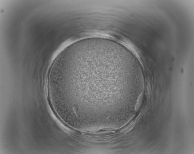 X0000085231391200703161259