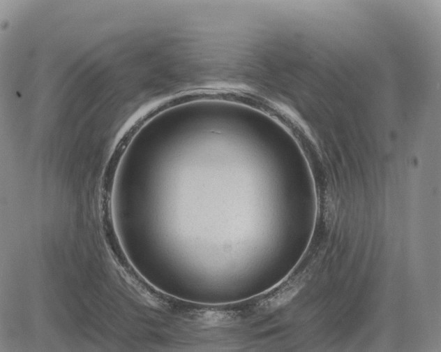 X0000085231412200703161259