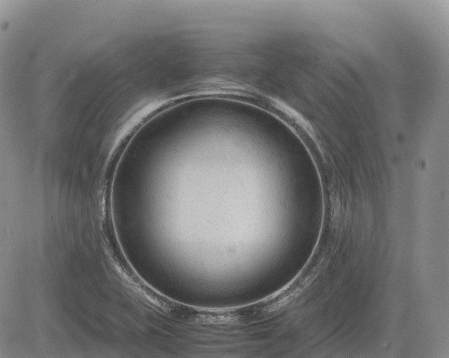 X0000085231415200703161259