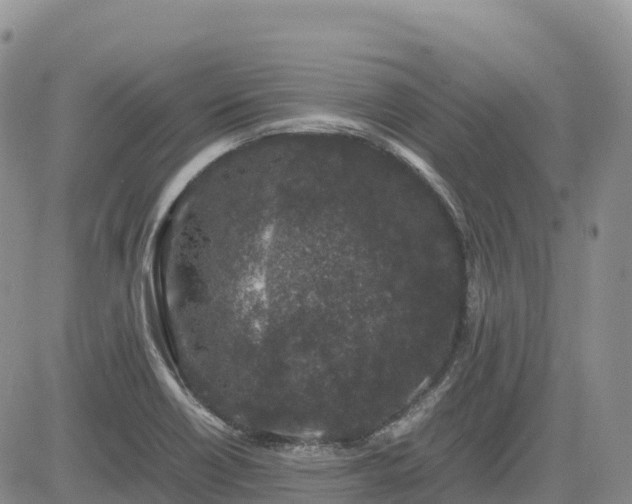 X0000085231418200703161259