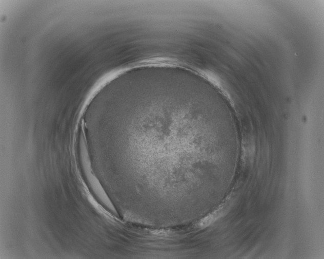 X0000085231421200703161259