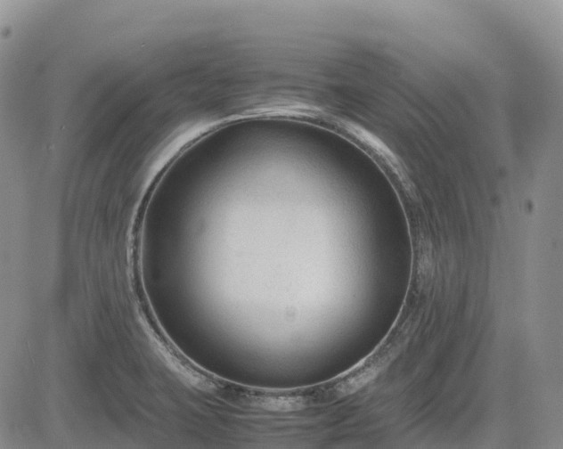 X0000085231423200703161259