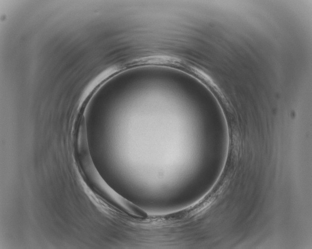 X0000085231426200703161259