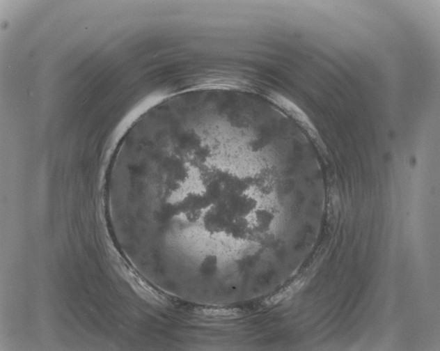 X0000085231427200703161259