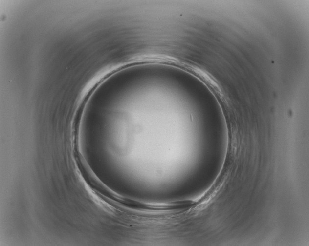 X0000085231430200703161259