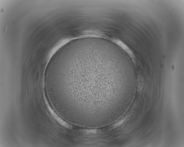 X0000085231431200703161259