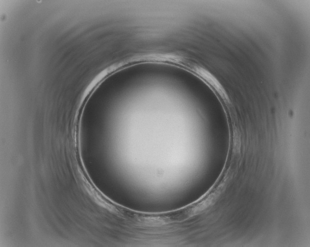 X0000085231436200703161259