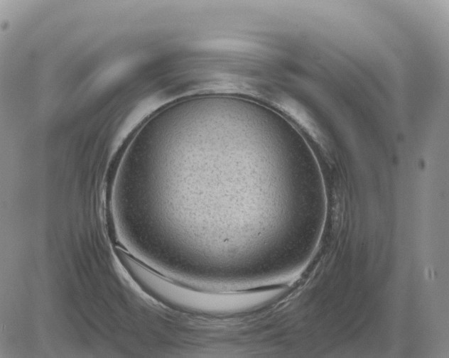 X0000085231468200703161258