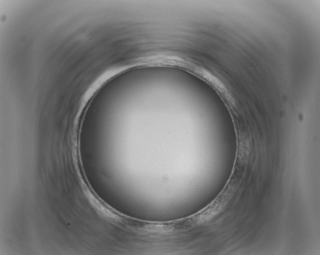 X0000085231478200703161258