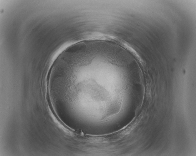 X0000085231479200703161258