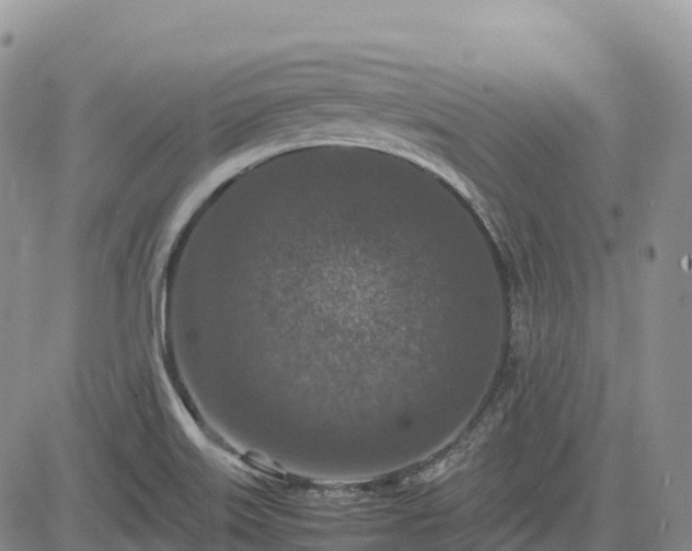 X0000085231515200703161257