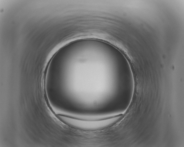 X0000085231516200703161257