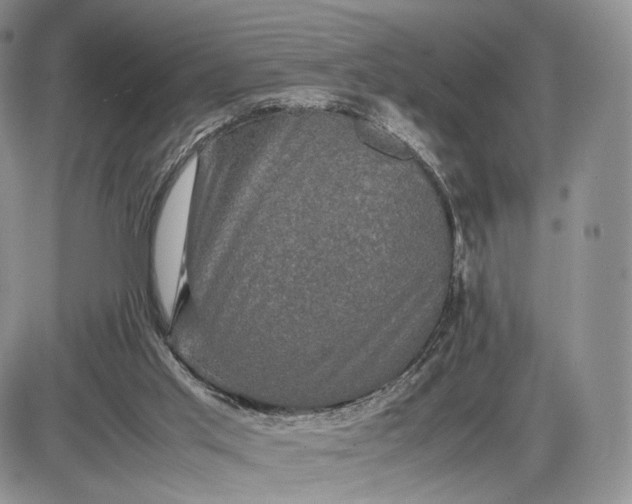 X0000085230013200703231610