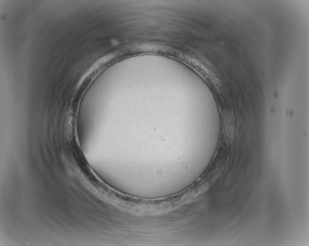 X0000085230016200703231610