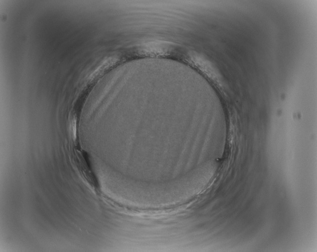 X0000085230021200703231610