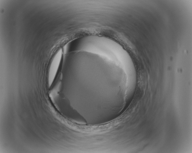 X0000085230023200703231610