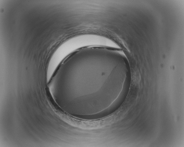X0000085230027200703231610