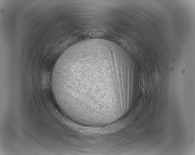 X0000085230034200703231610