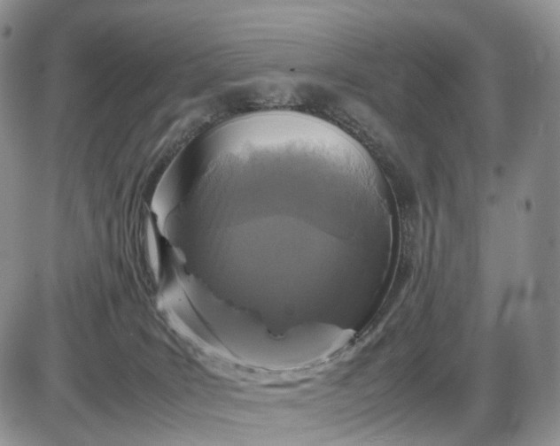 X0000085230035200703231610