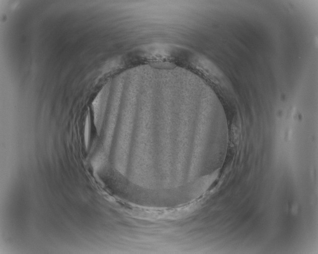 X0000085230037200703231610
