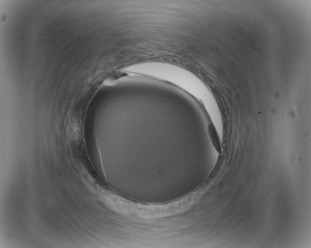 X0000085230039200703231610