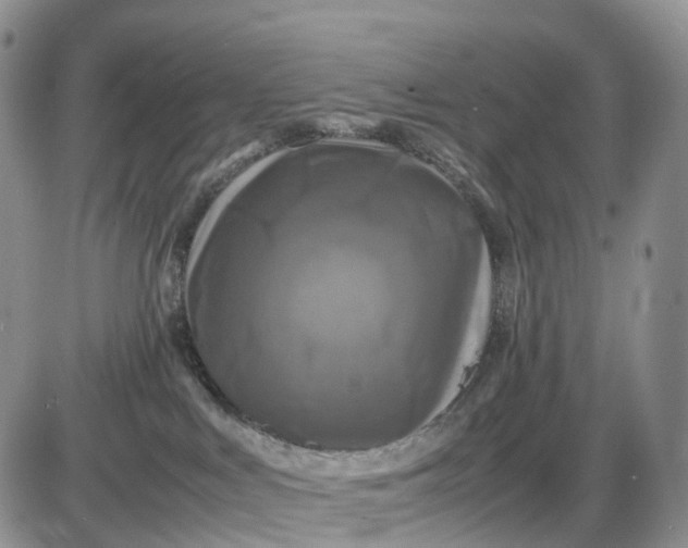 X0000085230043200703231610