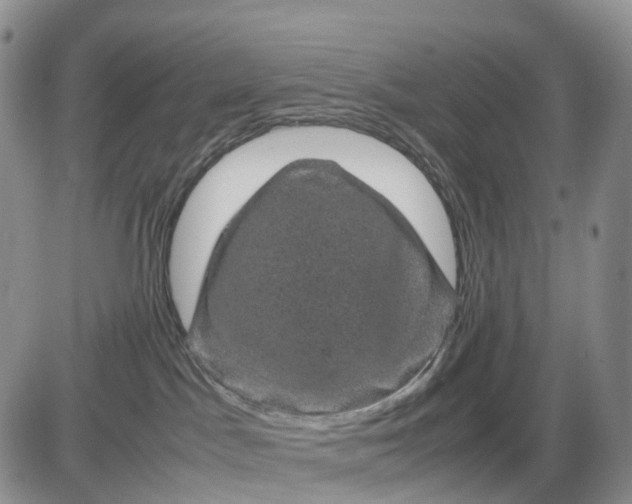 X0000085230045200703231610
