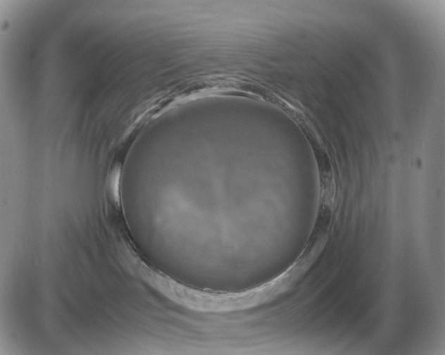X0000085230047200703231610