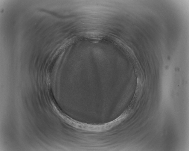 X0000085230048200703231610