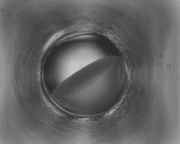 X0000085230054200703231609