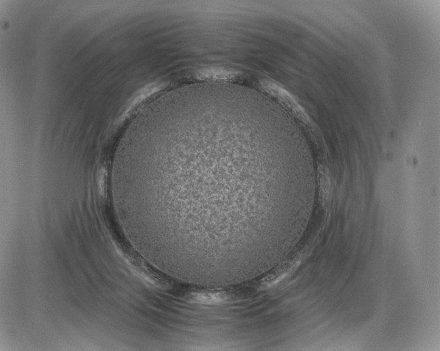 X0000085230071200703231609