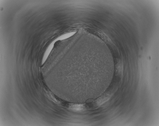 X0000085230081200703231609