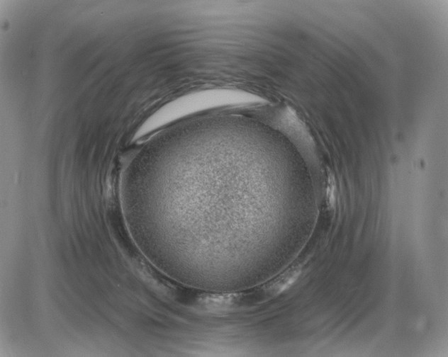 X0000085230084200703231609