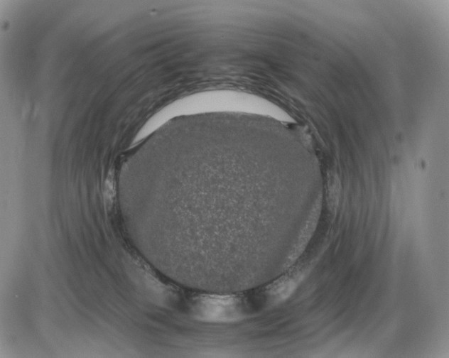 X0000085230085200703231609