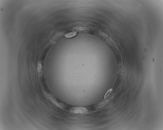 X0000085230087200703231609