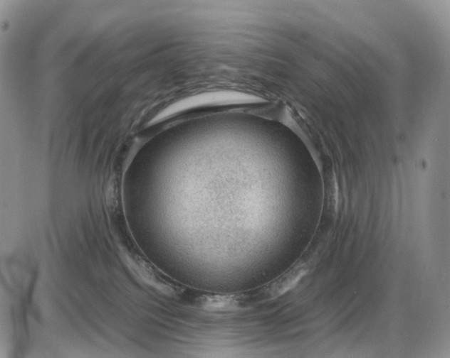 X0000085230088200703231609
