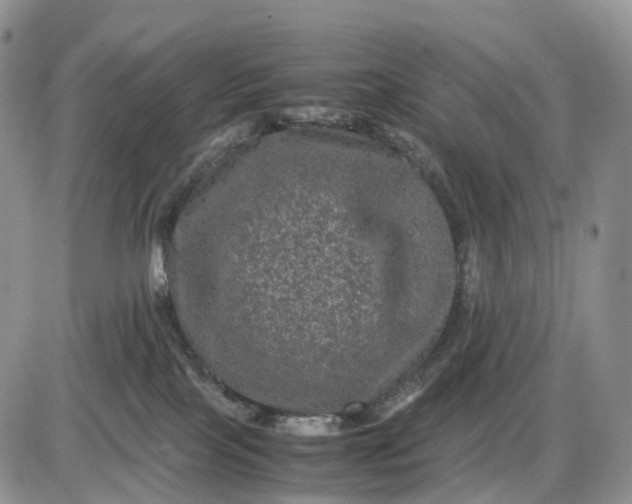 X0000085230089200703231610