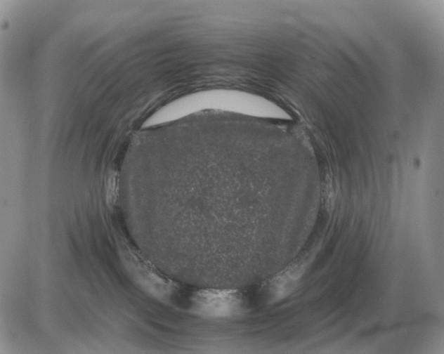 X0000085230093200703231610
