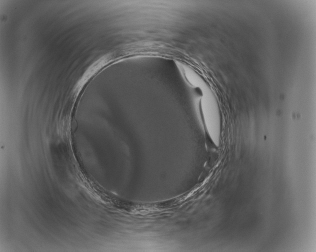 X0000085230099200703231609