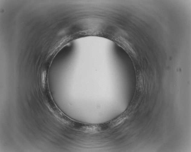 X0000085230118200703231608