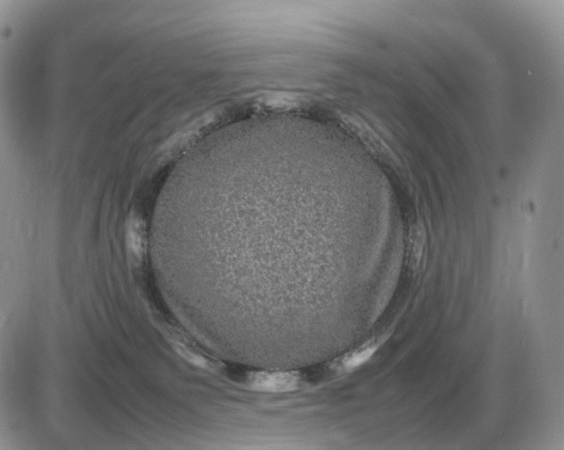 X0000085230135200703231608